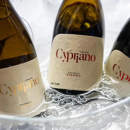 Quinta De Cypriano - Wine & Nature Vakantieboerderij