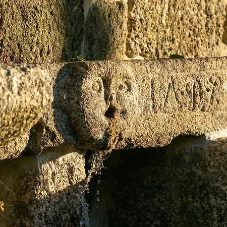 Quinta De Cypriano - Wine & Nature Feriegård *