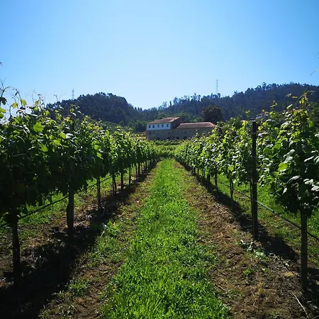 Vakantieboerderij Quinta De Cypriano - Wine & Nature *