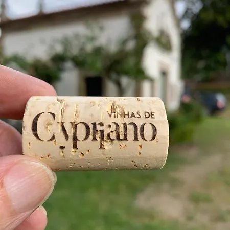 Quinta De Cypriano - Wine & Nature Ponte da Barca