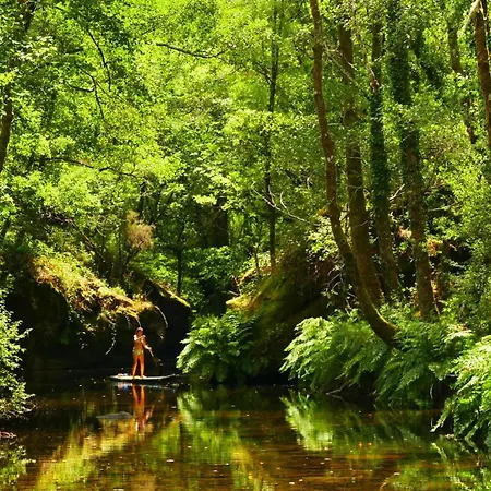 Quinta De Cypriano - Wine & Nature Vakantieboerderij