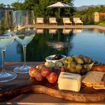 Quinta De Cypriano - Wine & Nature Feriegård Ponte da Barca