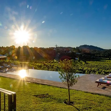 Quinta De Cypriano - Wine & Nature *