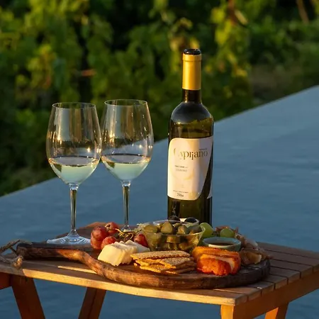 Quinta De Cypriano - Wine & Nature Vakantieboerderij Ponte da Barca