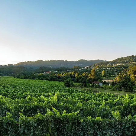 בית חווה Quinta De Cypriano - Wine & Nature