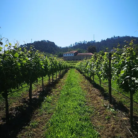 Quinta De Cypriano - Wine & Nature בית חווה פונטה דה בארקה