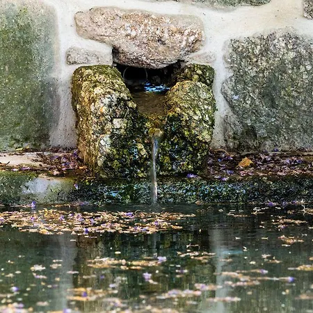 בית חווה Quinta De Cypriano - Wine & Nature