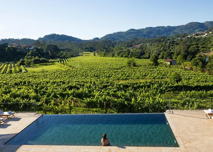 Gospodarstwo agroturystyczne Quinta De Cypriano - Wine & Nature