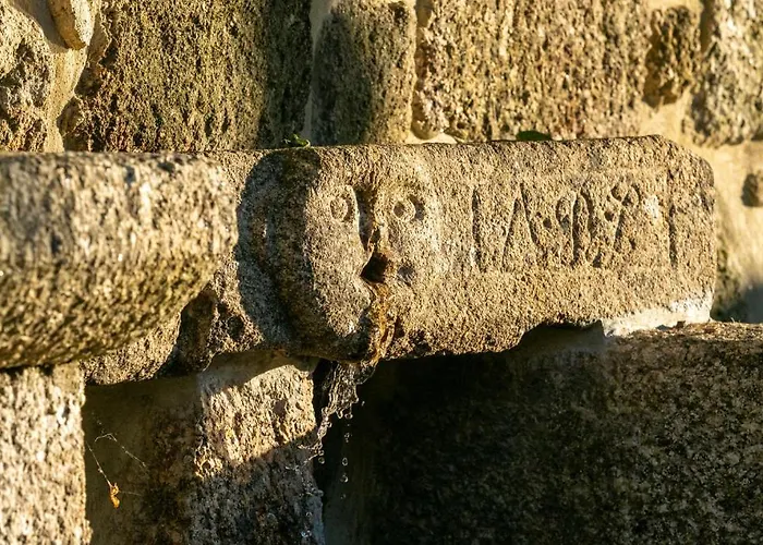 Quinta De Cypriano - Wine & Nature Farma *