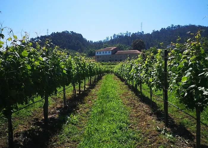 Gospodarstwo agroturystyczne Quinta De Cypriano - Wine & Nature *
