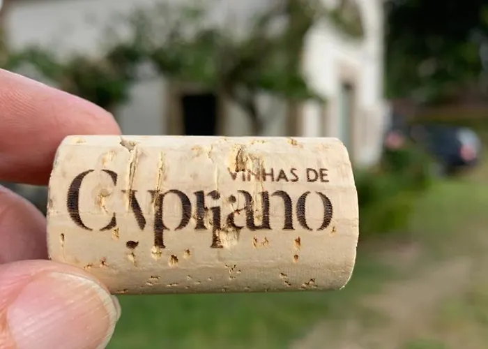 Quinta De Cypriano - Wine & Nature Ponte da Barca