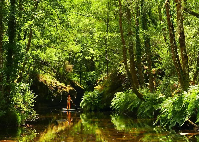 Quinta De Cypriano - Wine & Nature Gospodarstwo agroturystyczne