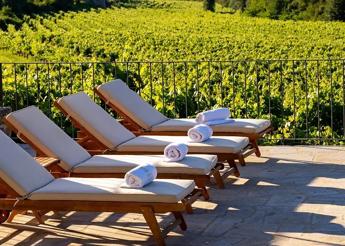 Quinta De Cypriano - Wine & Nature