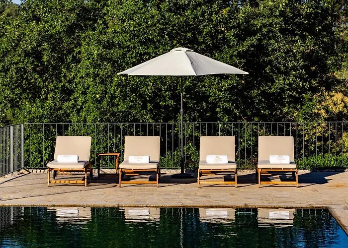 Quinta De Cypriano - Wine & Nature Gospodarstwo agroturystyczne